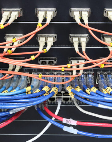 The Role of Network Switches in the Development of Small Businesses